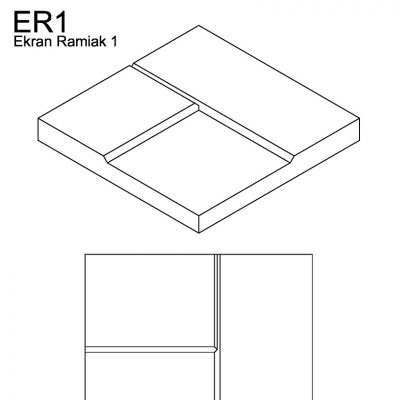 ER1